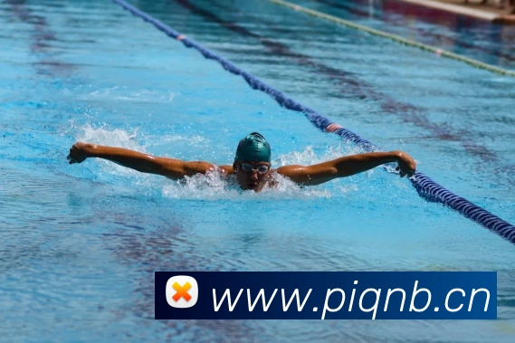 多媒体互动体验